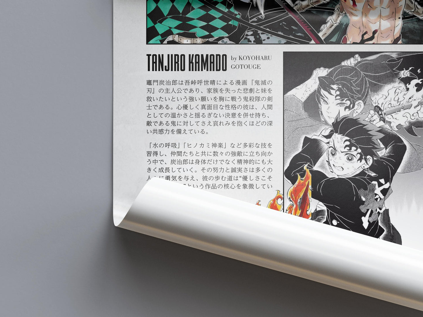 Demon Slayer Anime Poster